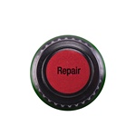 Repair Lid