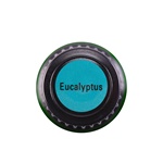 Eucalyptus Lid