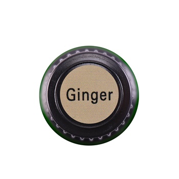 Ginger