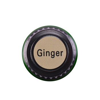 Ginger