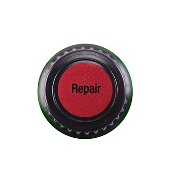 Repair