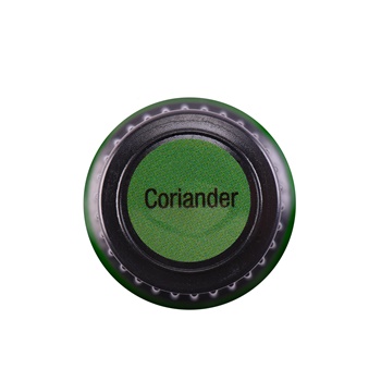 Coriander