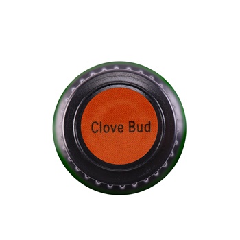 Clove Bud