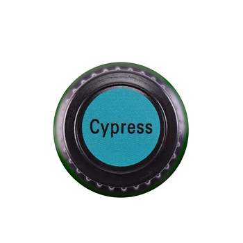 Cypress