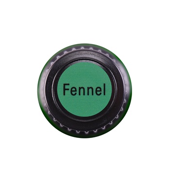 Fennel (Sweet)