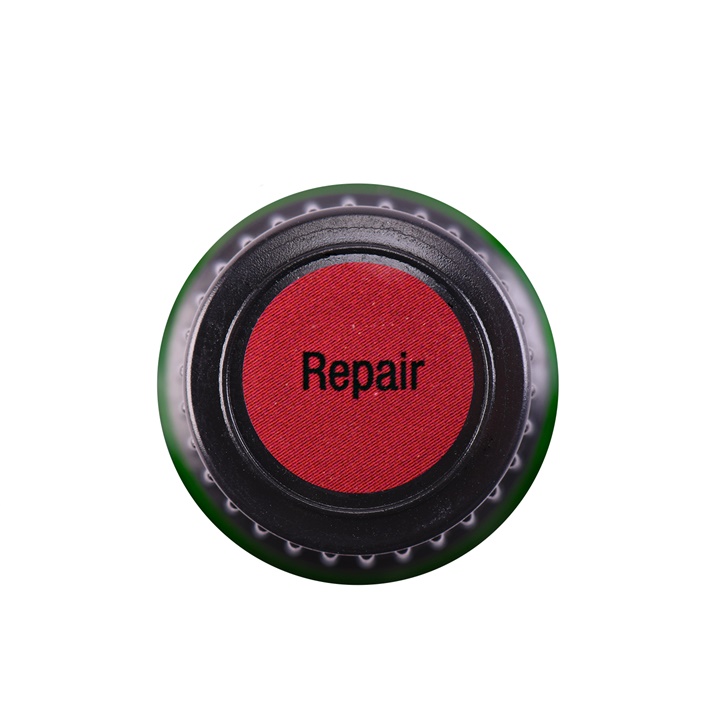 Repair