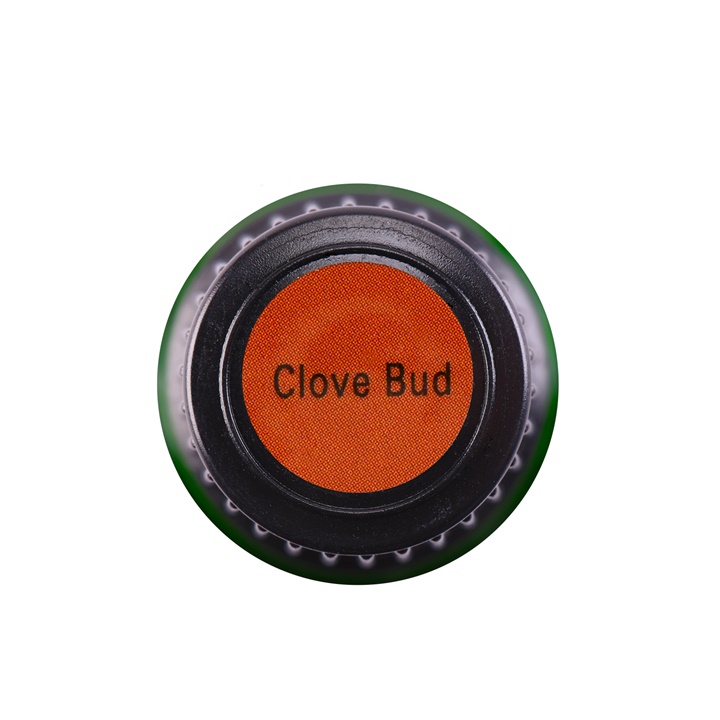 Clove Bud