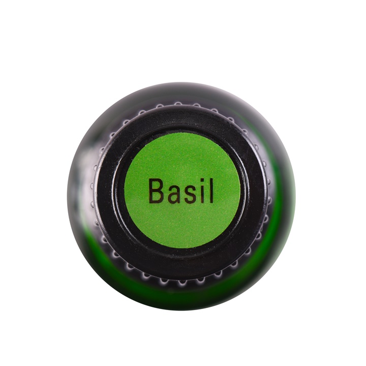 Basil