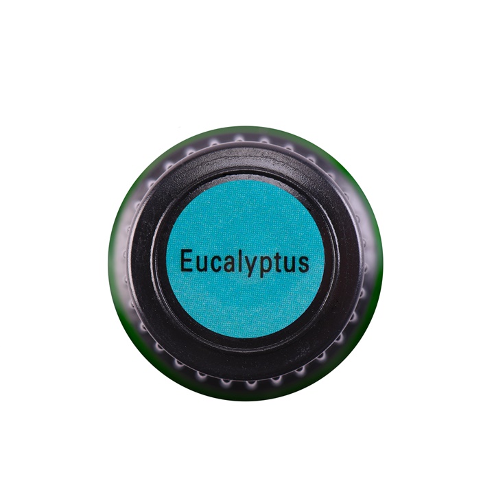 Eucalyptus 