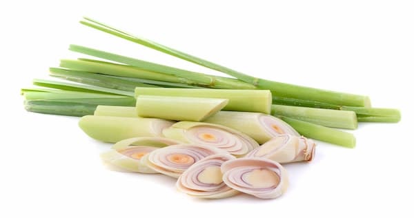 Lemongrass pic