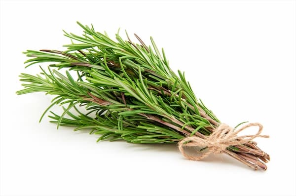 Rosemary Image