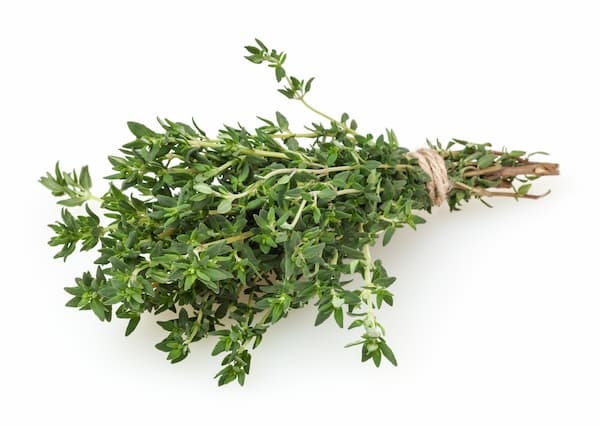 Thyme Image